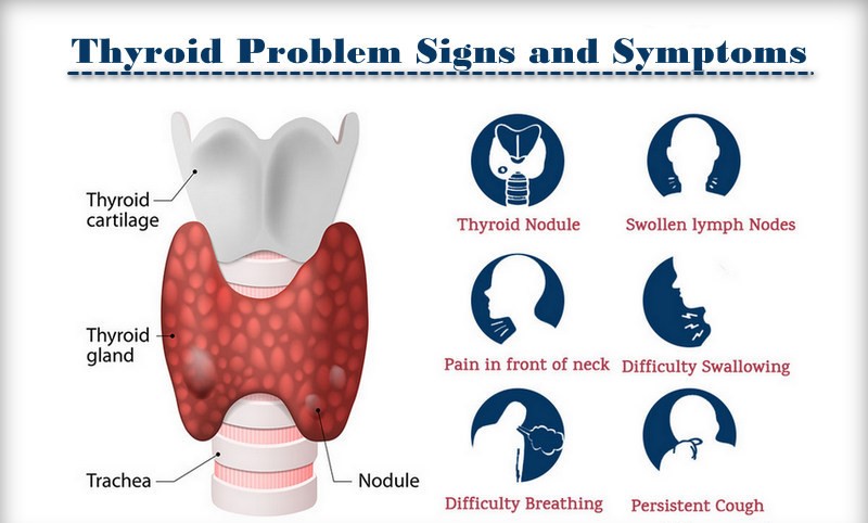 Freedom From Thyroid Pills Part 1